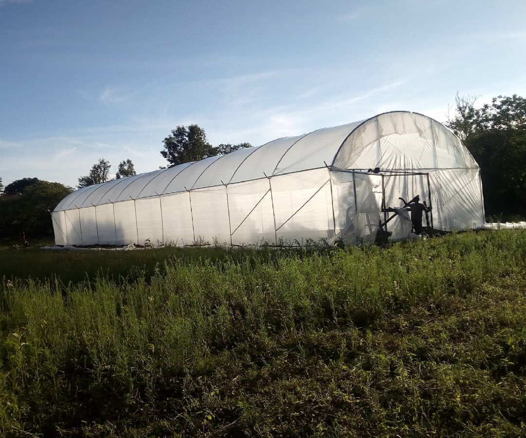 Supply of Greenhouse Kits & Tailor-Made Projects