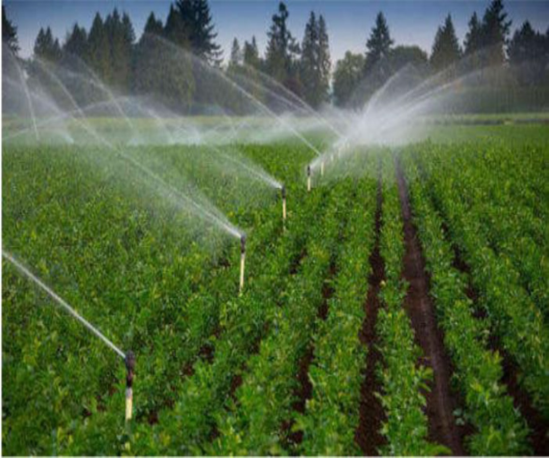 Mlowe Irrigation Systems
